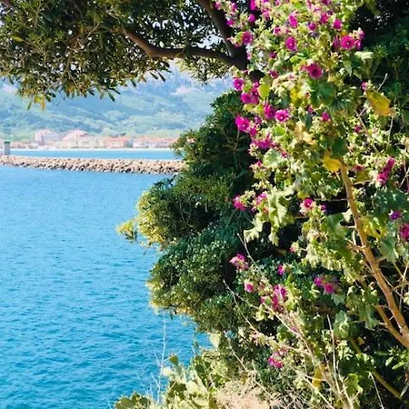 Adria Garden *