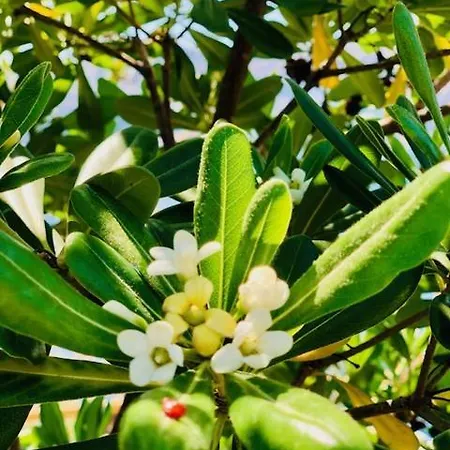 Apartmán Adria Garden